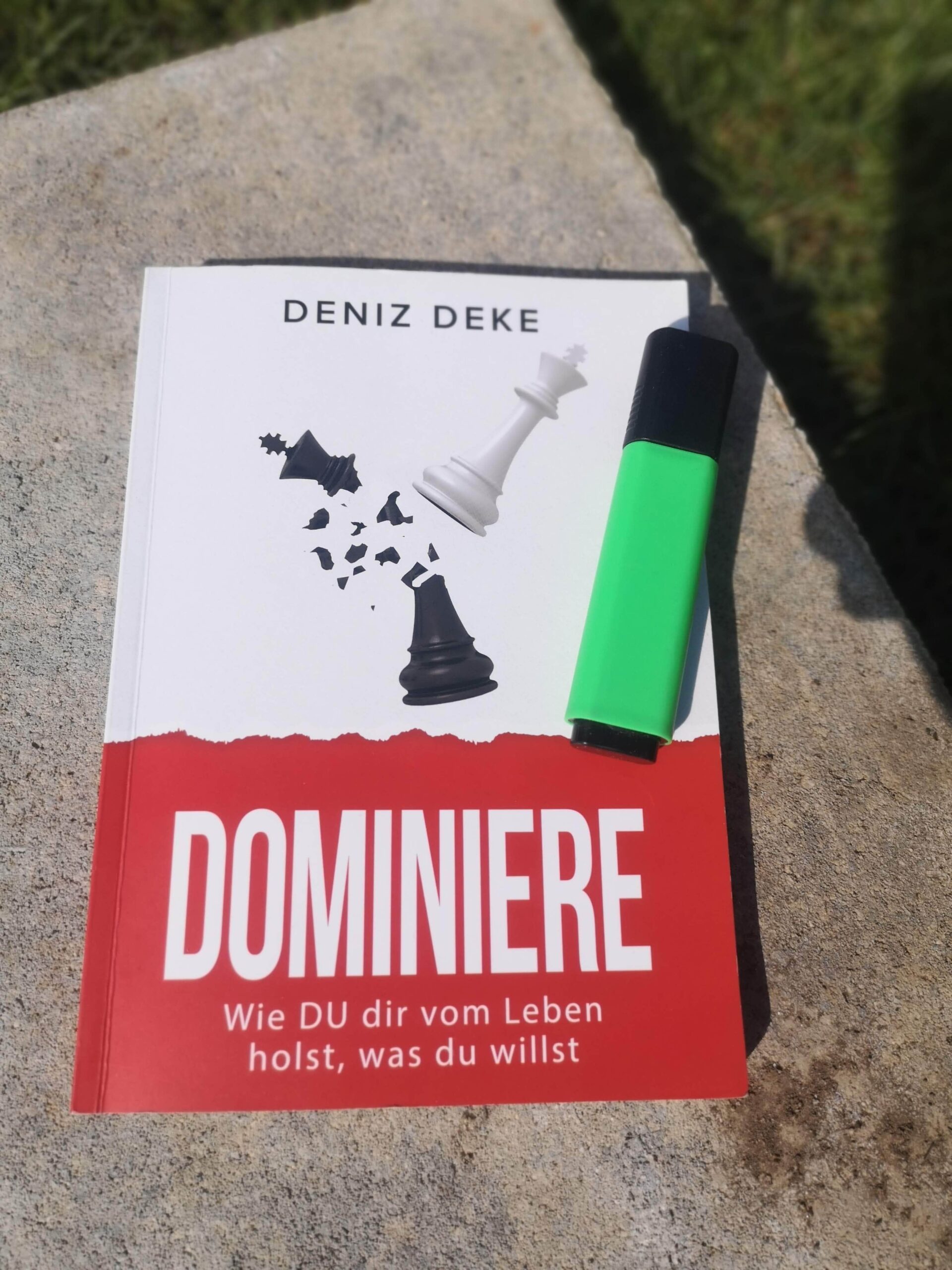 Dominiere - Wie DU dir vom Leben holst, was du willst - Rezension