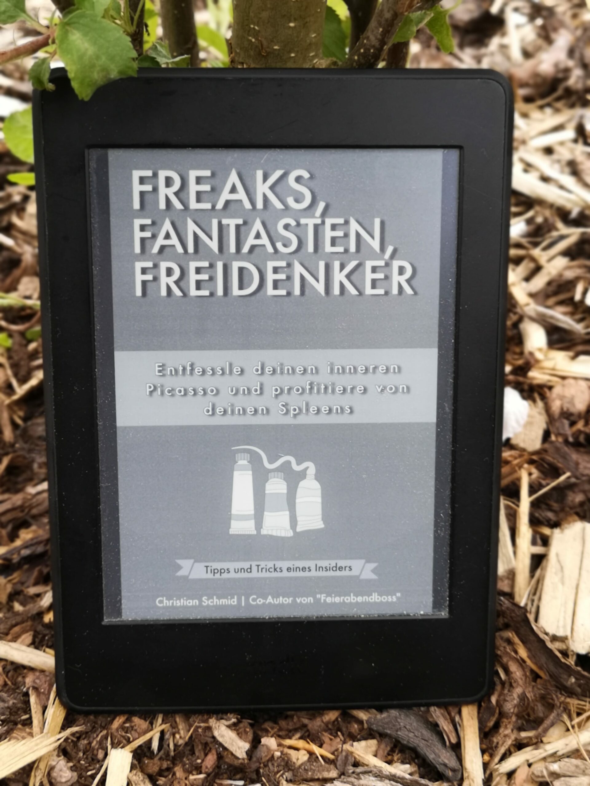 Freaks Fantasten Freidenker als eBook lesen